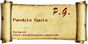 Pandula Gyula névjegykártya